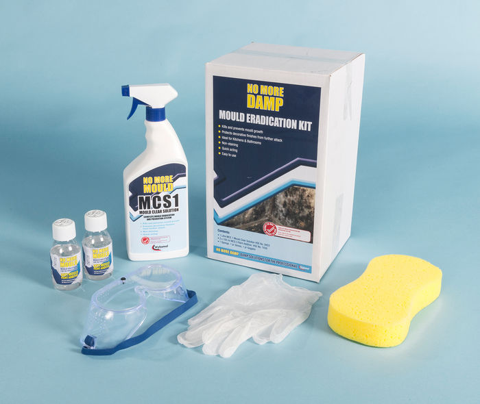 Mould remover kit
