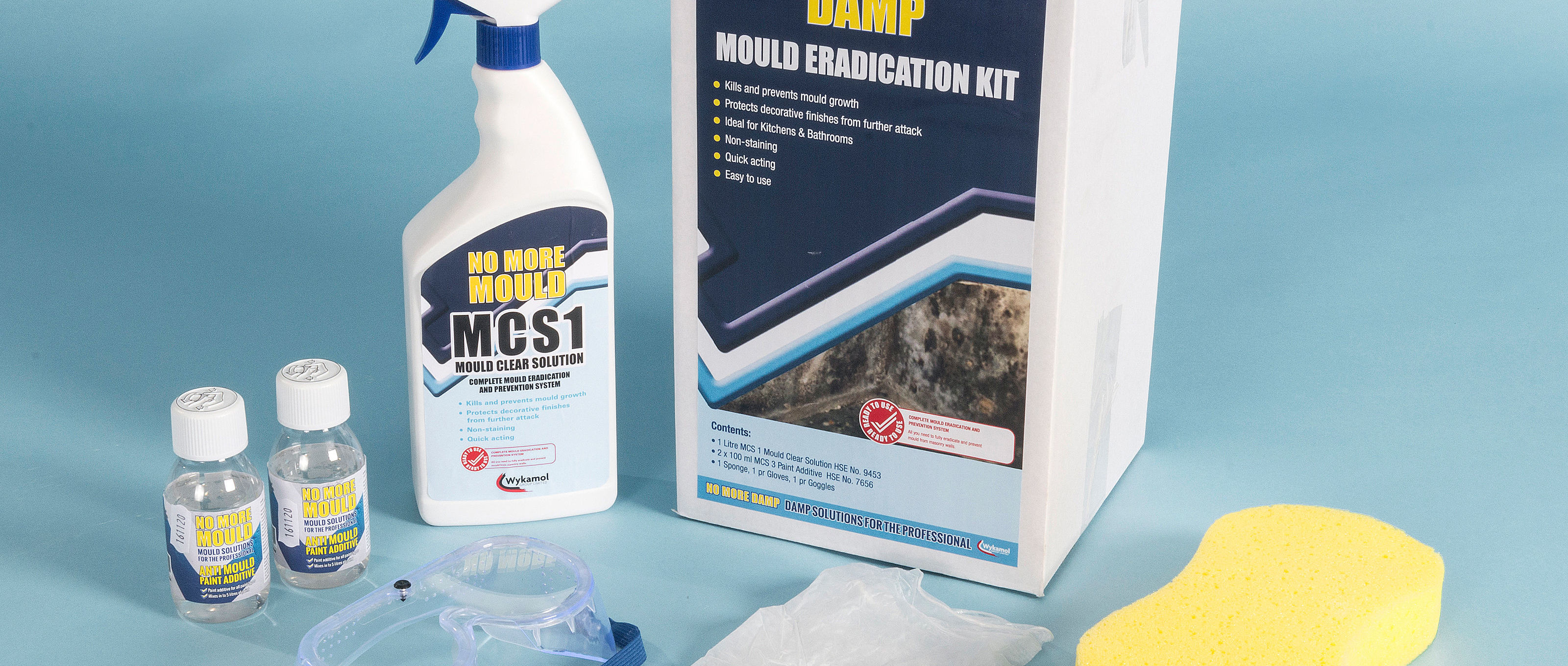 Mould Remover Kit